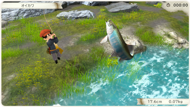 魚の個性をコレクション